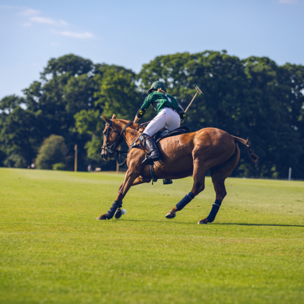 polo player on horse